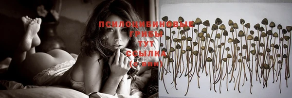 мдма Володарск
