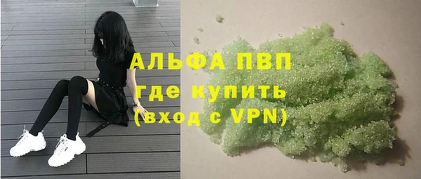стаф Волоколамск