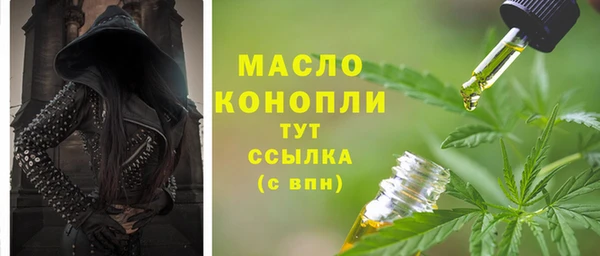 гашик Бородино
