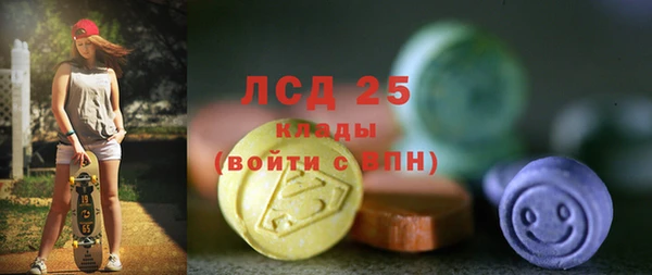 сатива Вязьма
